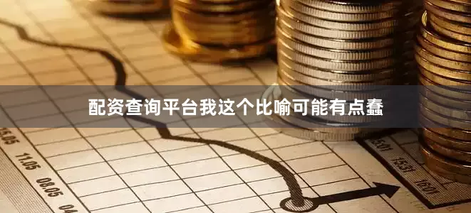 配资查询平台我这个比喻可能有点蠢