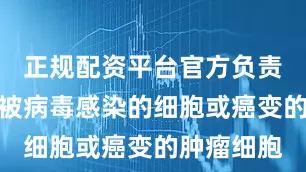 正规配资平台官方负责直接清除被病毒感染的细胞或癌变的肿瘤细胞