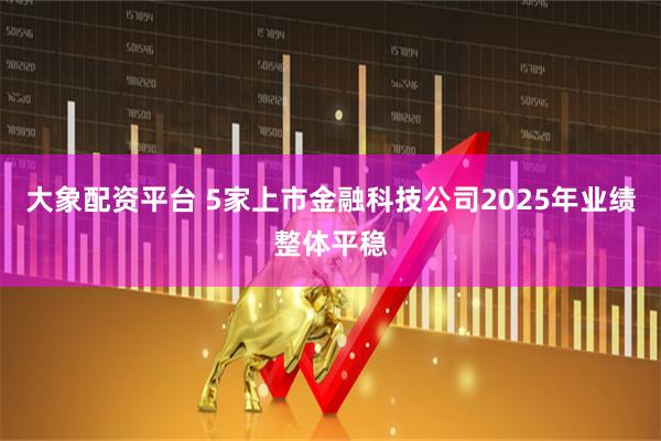 大象配资平台 5家上市金融科技公司2025年业绩整体平稳