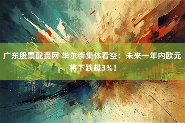 广东股票配资网 华尔街集体看空：未来一年内欧元将下跌超3%！