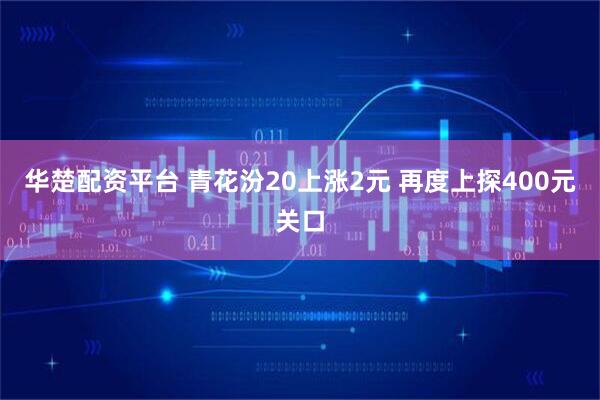 华楚配资平台 青花汾20上涨2元 再度上探400元关口